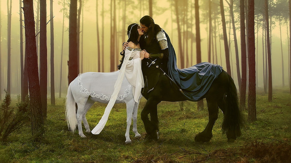 two mythical characters digital wallpaper, Centaur, kissing HD wallpaper