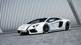 white Lamborghini Aventador supercar, Lamborghini, car, white cars, Lamborghini Aventador HD wallpaper