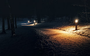three street lights, dark, winter, lights HD wallpaper