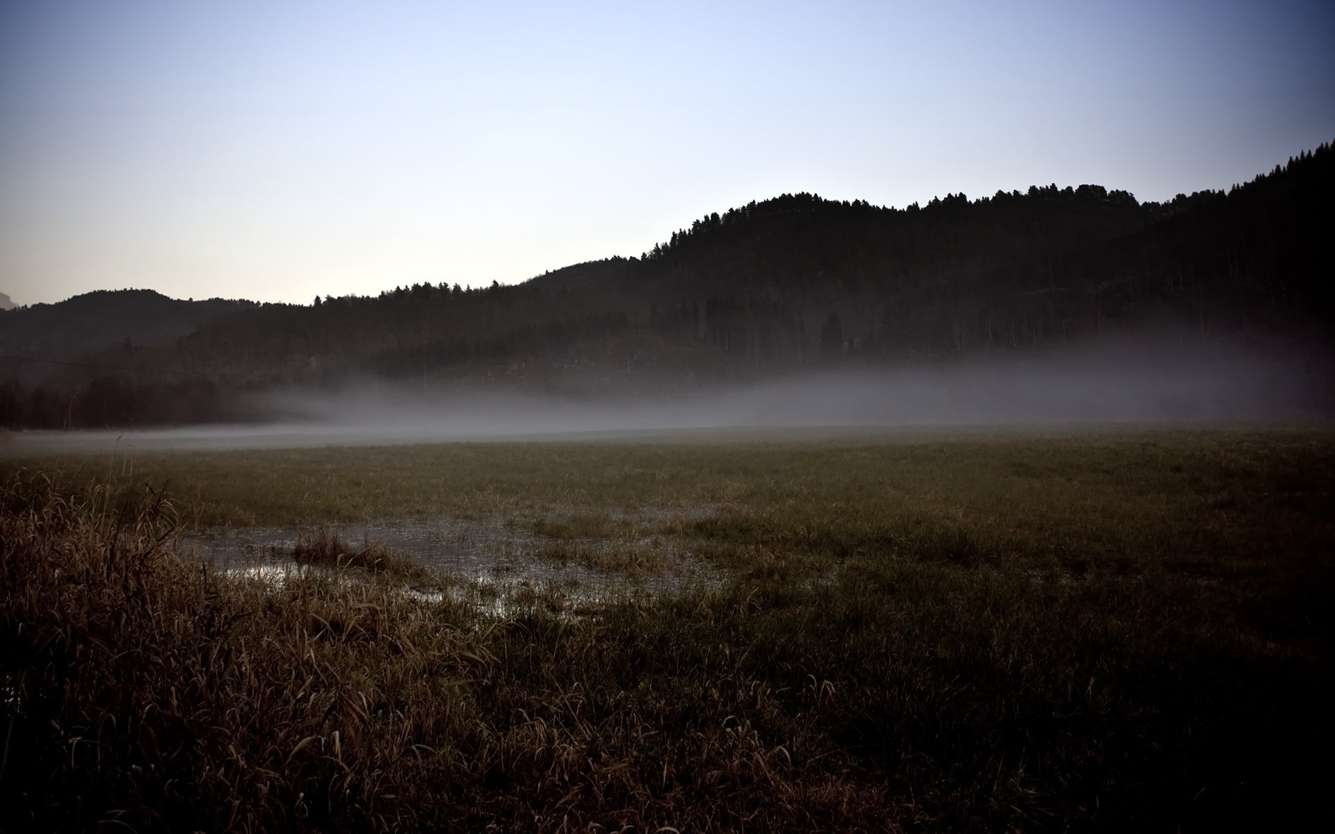 landscape photography of green field