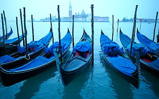 blue boats on body of water HD wallpaper