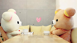 two brown-and-white bear plush toys by the dining table