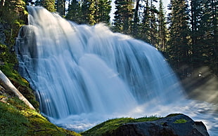 waterfalls, forest, waterfall, nature HD wallpaper