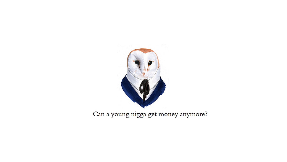 Can a Young nigga get money anymore ? owl meme HD wallpaper