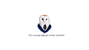 Can a Young nigga get money anymore ? owl meme