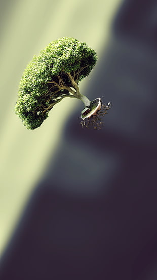 green leafed tree illustration, trees