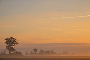 landscape photograph of sunrise view HD wallpaper