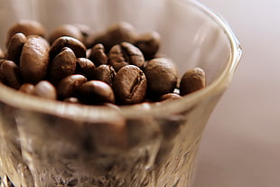 close up photo of coffee seeds in clear glass bowl HD wallpaper