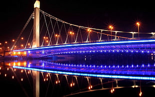 closeup photography of blue and white lighted bridge HD wallpaper