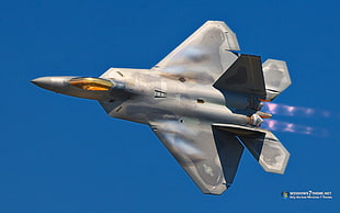 gray jet fighter plane, F-22 Raptor, military, jet fighter