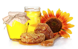photo of honeycombs with sunflower and two clear jars HD wallpaper