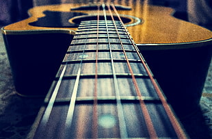 closeup photo of cut-away black and brown acoustic guitar string HD wallpaper