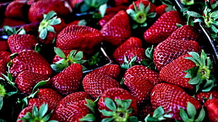 closeup photo of bunch of strawberries