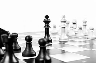 black king and white king chess \ HD wallpaper