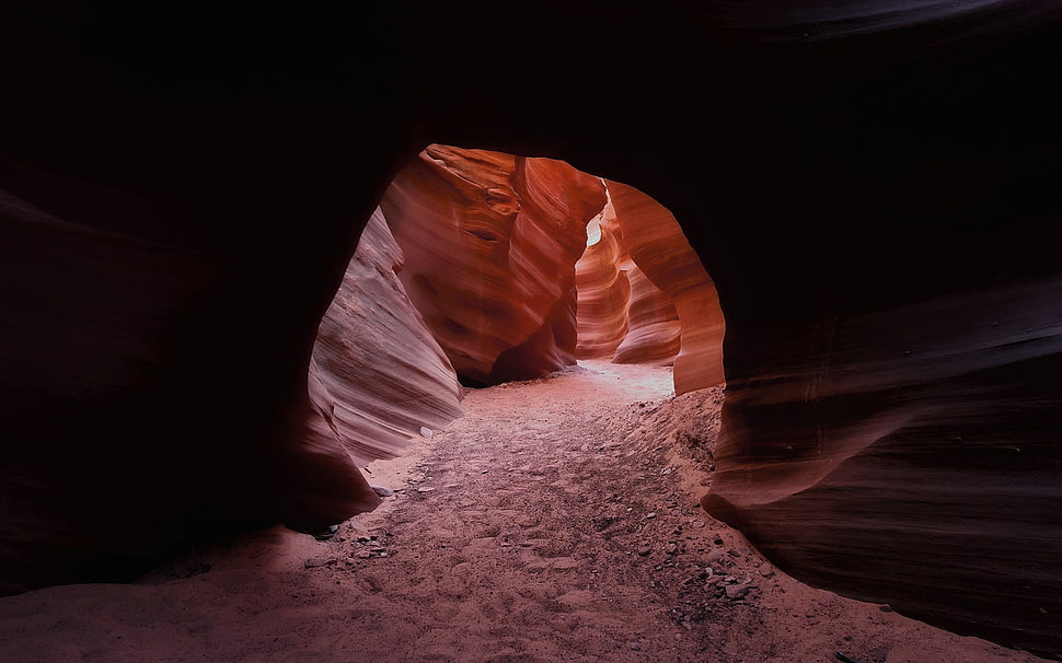 Antelope, Grand Canyon HD wallpaper