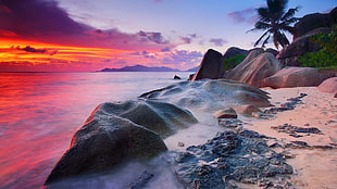 boulder beside coconut tree during daytime, beach, sunset, sea, sky HD wallpaper