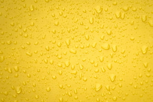 Drops,  Surface,  Yellow HD wallpaper
