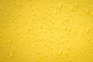 Drops,  Surface,  Yellow