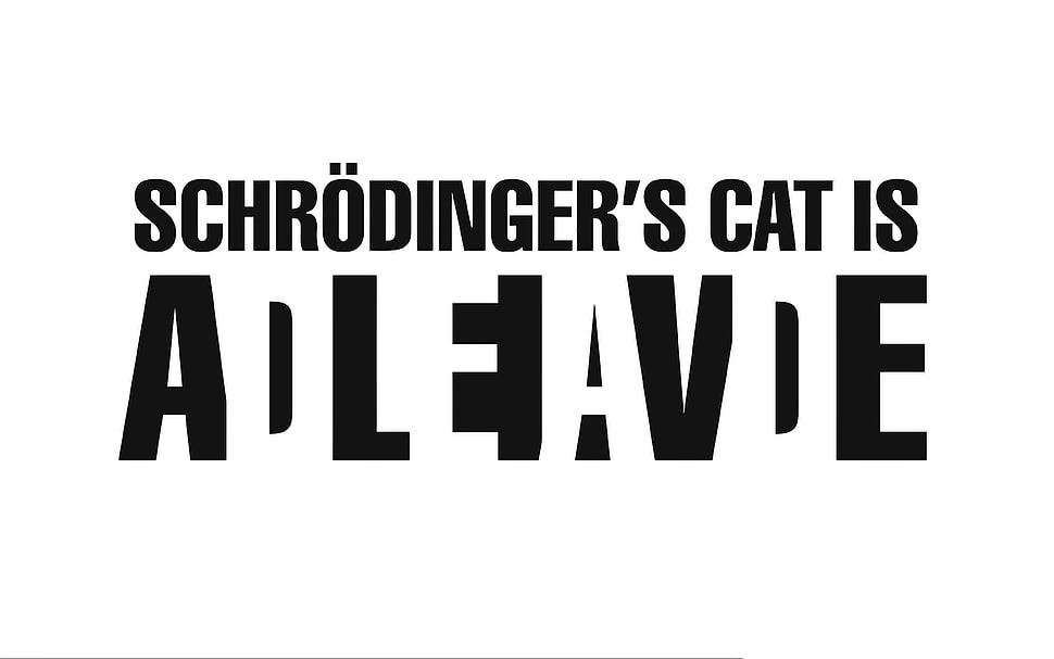 white background with text overlay, typography, Schrödinger's cat, minimalism, simple background HD wallpaper