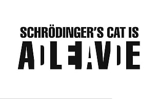 white background with text overlay, typography, Schrödinger's cat, minimalism, simple background