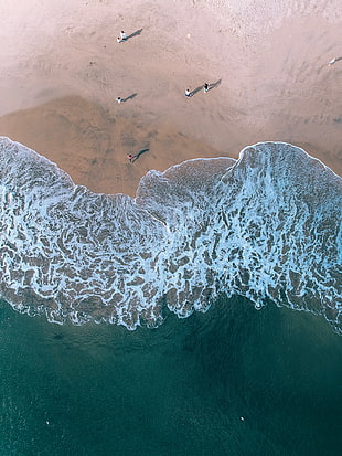 aerial view photography of people standing on shore