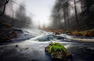 time-lapse photography of river surrounded by trees, river, nature, water, trees