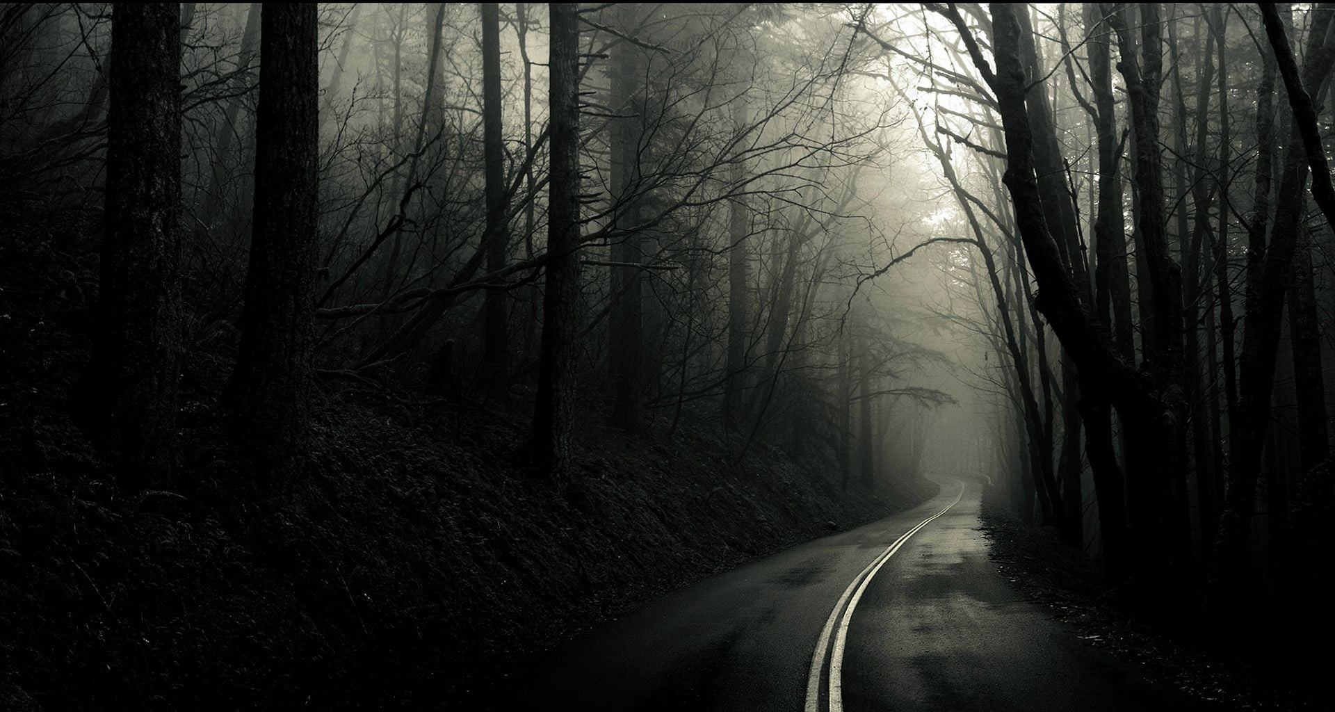 gray asphalt road, forest, road, monochrome, dark