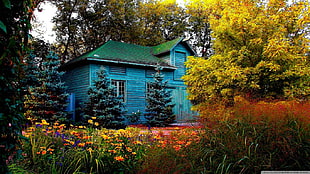 blue wooden house, house, trees, flowers