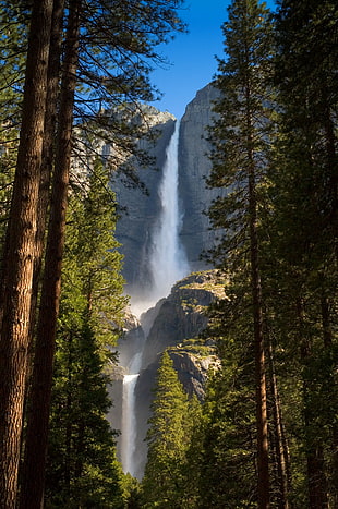 waterfall beside trees during daytime HD wallpaper