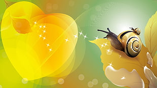 gray and yellow snail illustration, snail