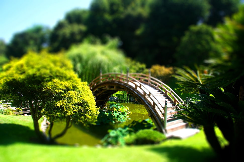 tilt shift, bridge HD wallpaper