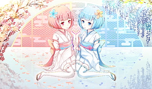 two pink and blue haired female anime characters