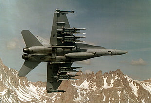 gray jet fighter, aircraft, jets, McDonnell Douglas F/A-18 Hornet, military HD wallpaper