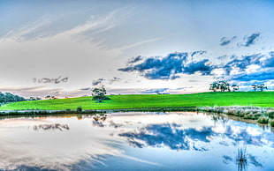 green grasses, nature, lake, sky, clouds HD wallpaper