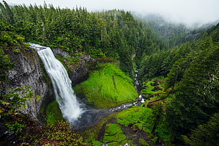 waterfalls in mountain with green trees
