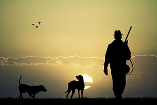 silhouette photo of man holding a rifle, dog, Sun, men, hunting HD wallpaper