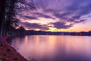 purple lake photo