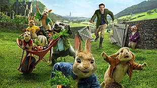 rabbit movie wallpaper, Peter Rabbit, Domhnall Gleeson, 4k HD wallpaper