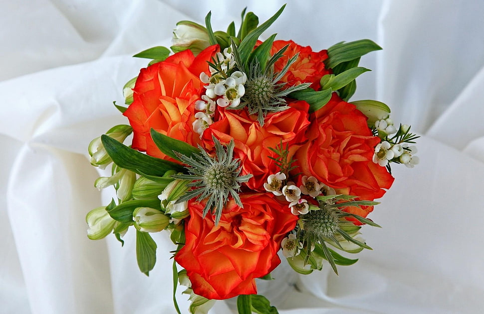 red and green floral decor HD wallpaper
