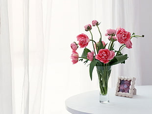 pink roses on clear glass vase beside photo frame