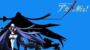 Akame Ga Kill digital wallpaper, Esdeath, Akame ga Kill! HD wallpaper