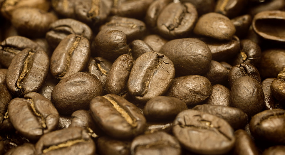 brown coffee beans HD wallpaper