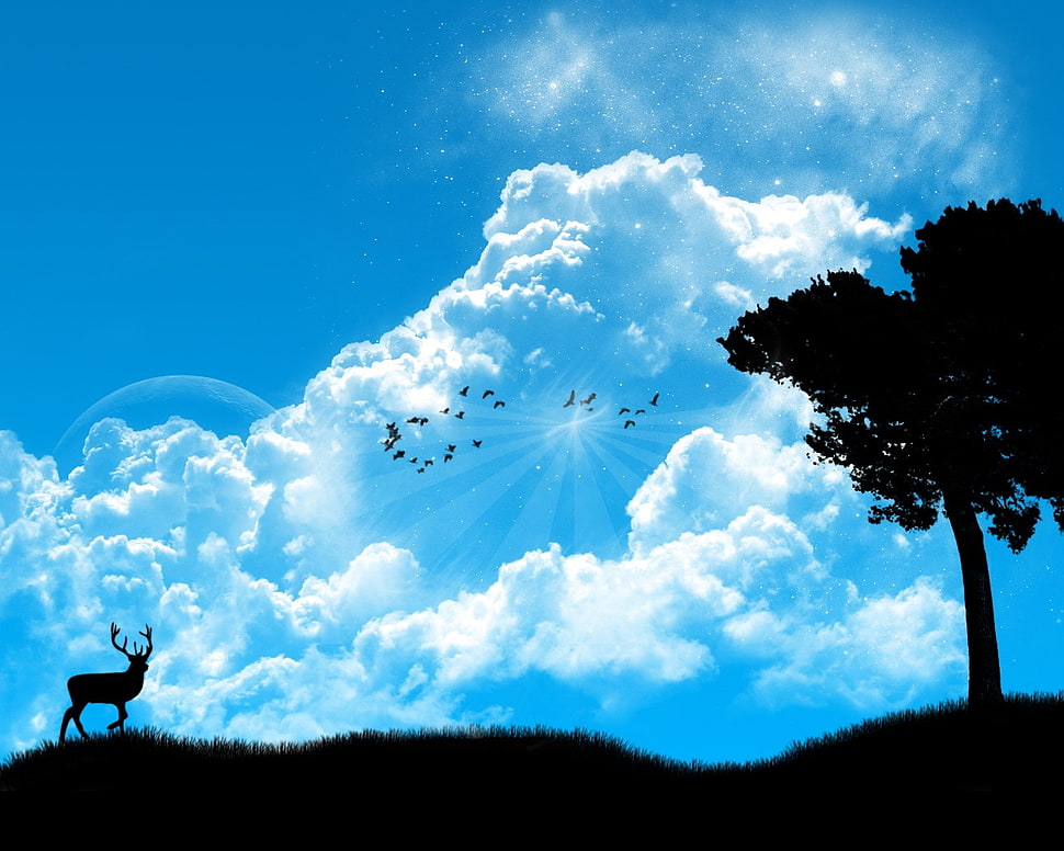 silhouette of tree and deer HD wallpaper