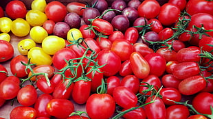 red tomatoes and onions