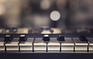 selective focus photography of piano keys HD wallpaper