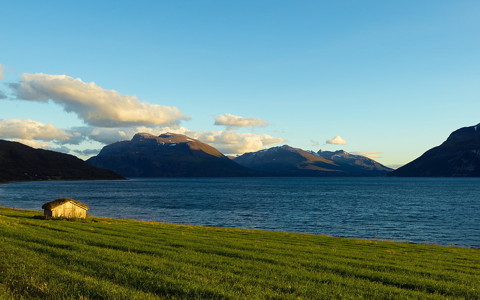 brown house, nature, landscape, hills, Norway HD wallpaper