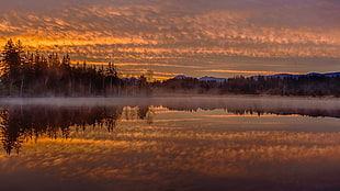 panoramic photography of forest, landscape, water, clouds, reflection