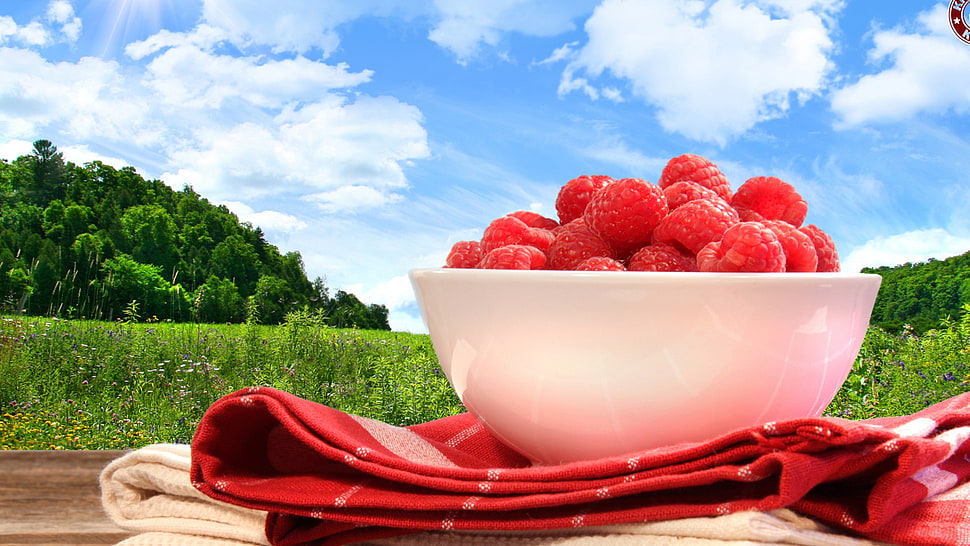 bunch of red berries in white bowl HD wallpaper