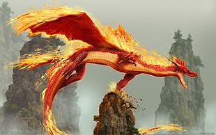 red dragon digital wallpaper