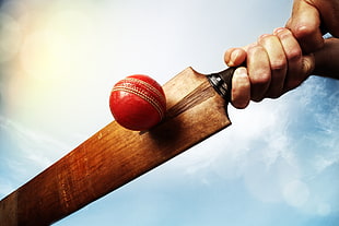 person holding cricket bat hitting ball HD wallpaper